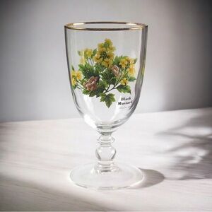 ROYAL WORCESTER Gold Trim Water Goblet ‘Worcester Herbs - BLACK MUSTARD’- 7"